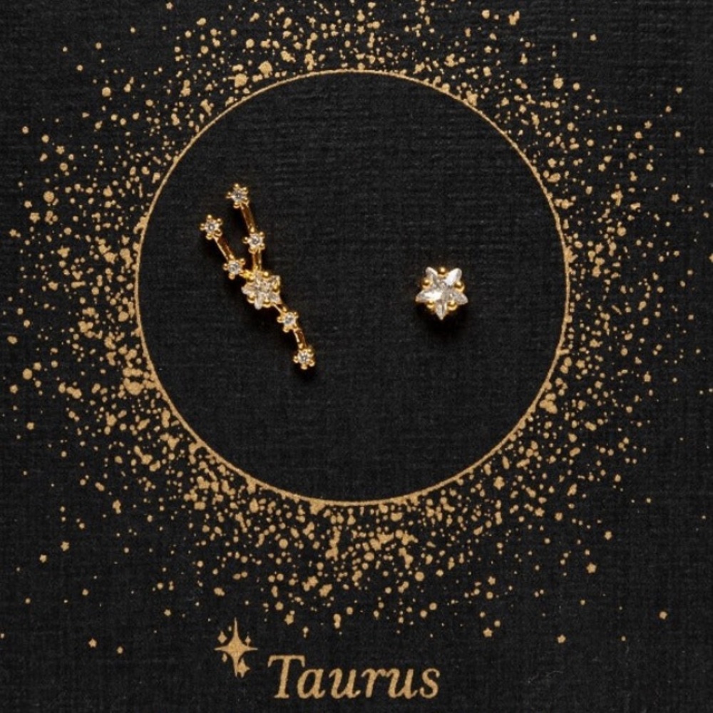 BROOKLYN TAG Taurus Sign Constellation Earrings with Crystals